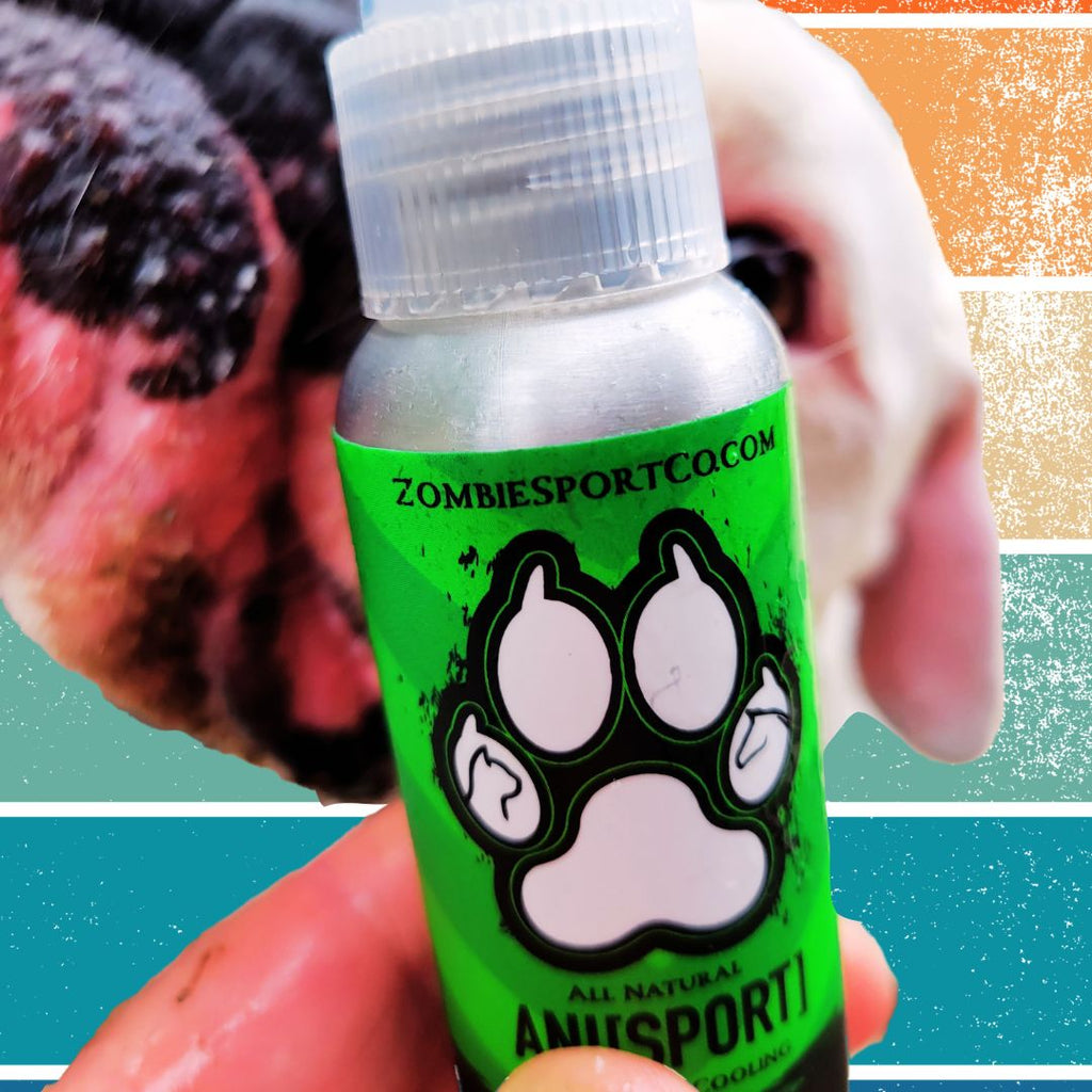 Nature's Touch for Healing: The Ultimate Wound Care for Pets by Zombie Sport Company.
