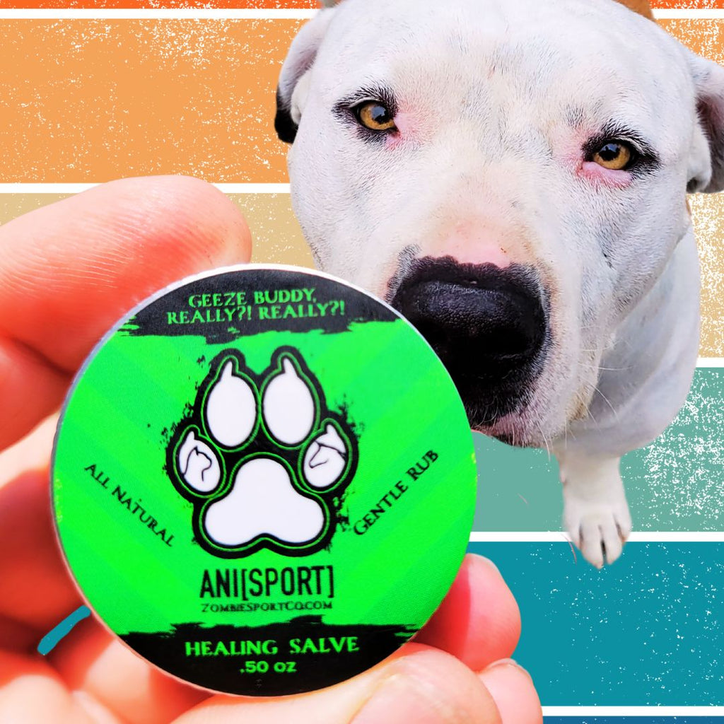 From Pavement to Playtime: How Zombie Sport’s Natural Wound Care Supports Your Pet’s Healing Journey.