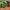Woodblock print style illustration of a giant neon green wave rising over an MMA cage with an American flag covering the entire cage floor, plus a flag and digital round timer on the gym wall, under the headline The Mat Is Unforgiving